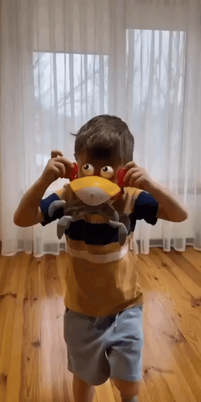 Cute Crab Toy